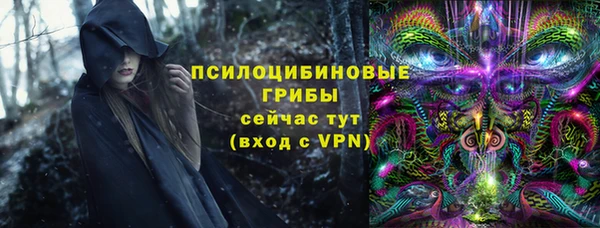 дурь Богородицк